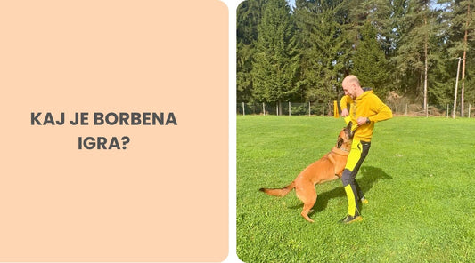"Borbena igra" s psom z uporabo vlečke
