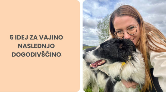 Ideje za aktivnosti s psom