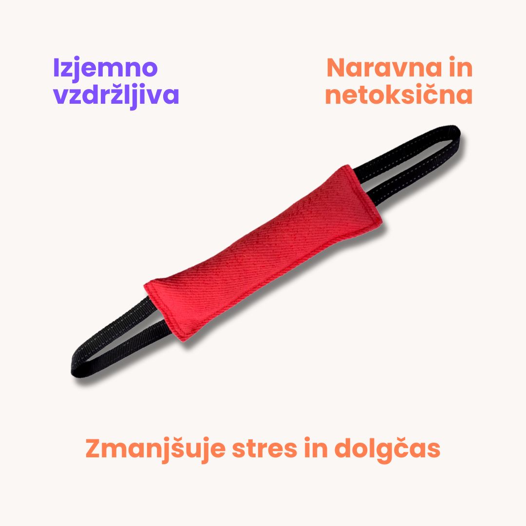 Aport vlečka za trening