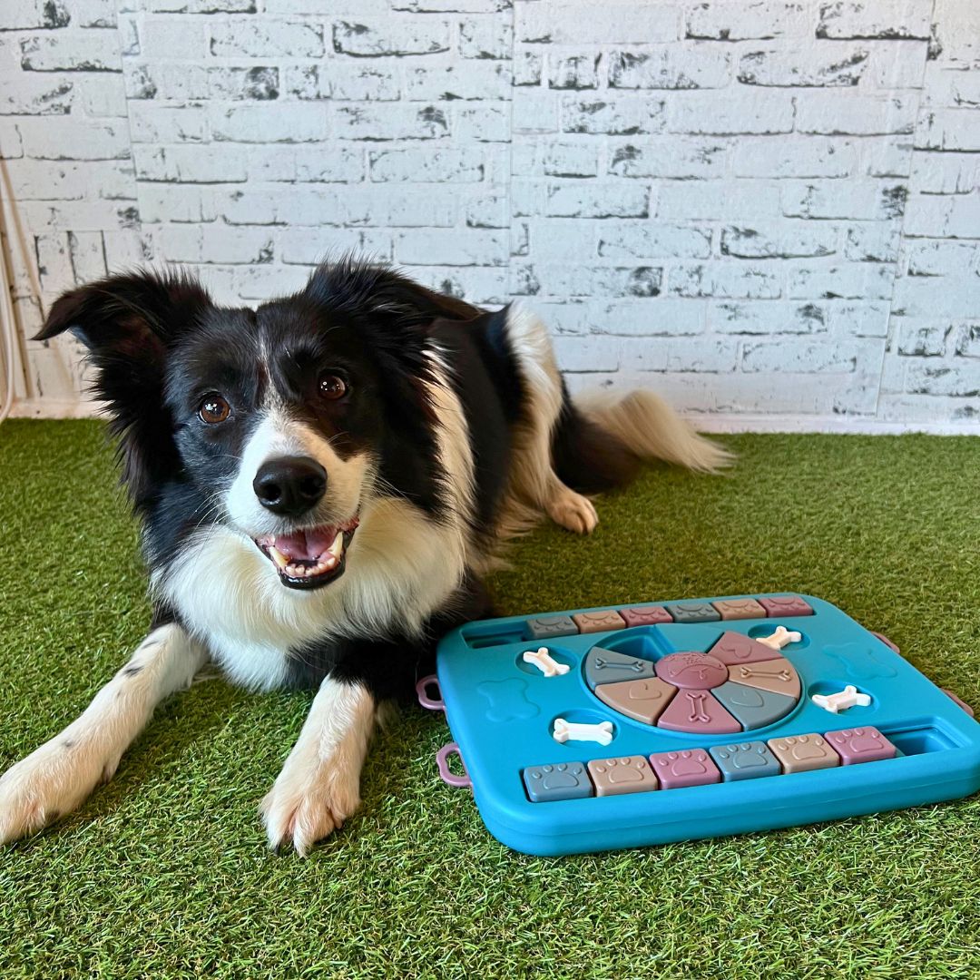 Interaktivna pasja igrača Think & Slide