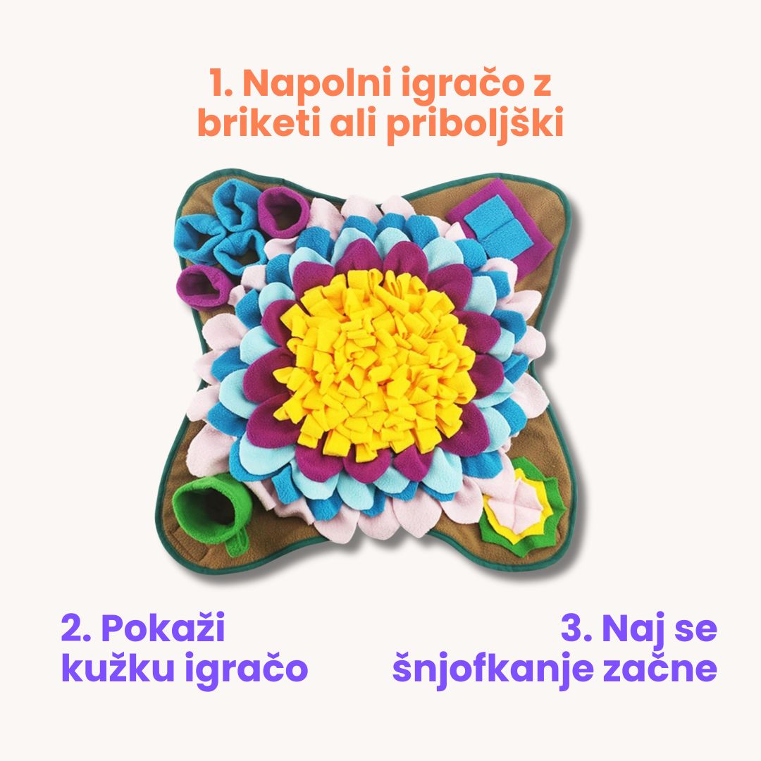 Šnofka flower