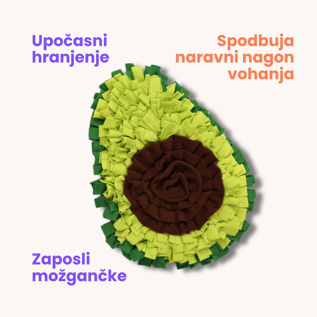 Avokado šnofka