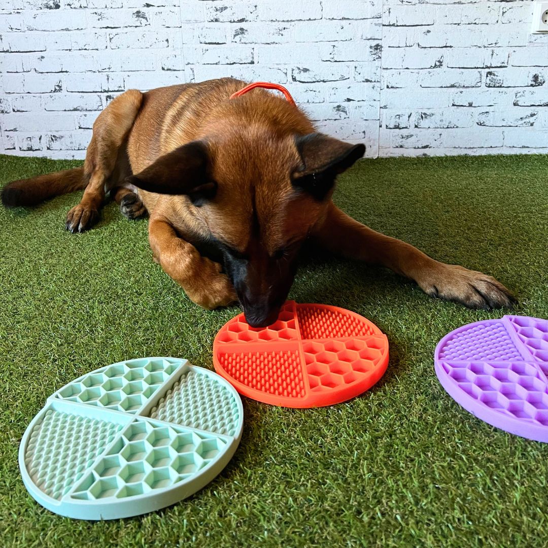 Lick Pad za počasno hranjenje