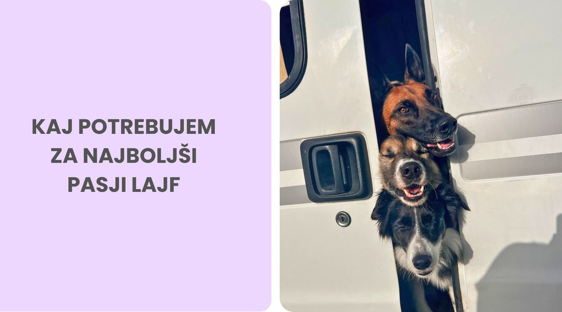 9 stvari, ki jih potrebujem za srečno življenje