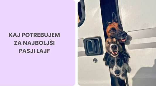 9 stvari, ki jih potrebujem za srečno življenje