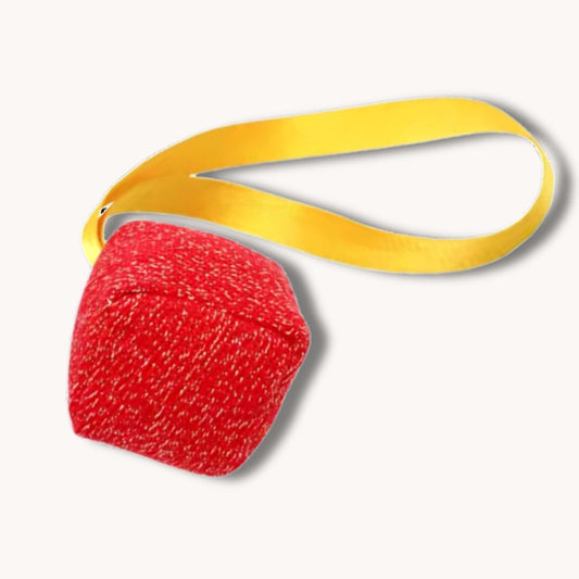 Kvadrat vlečka za trening
