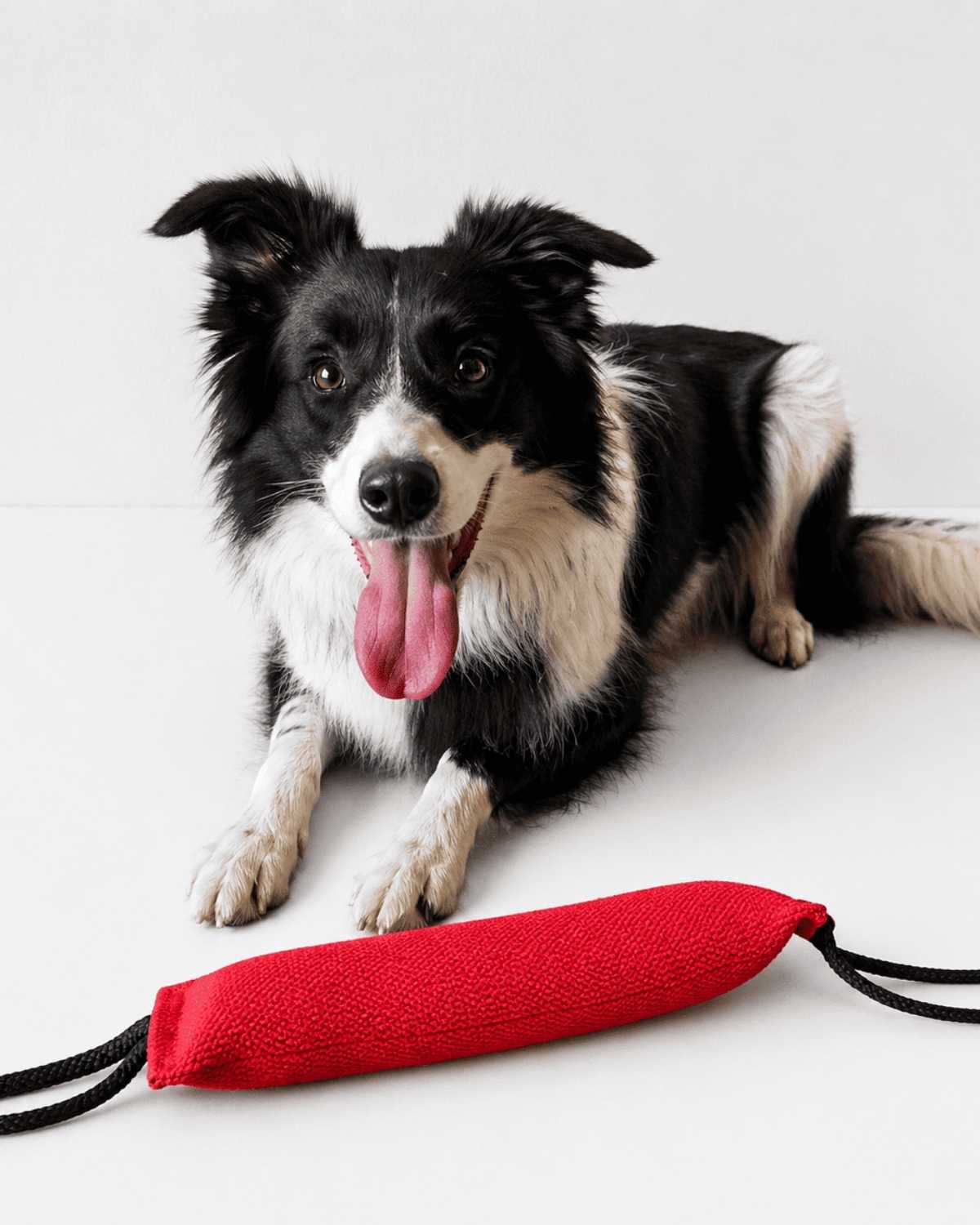 Off Leash Tug Pro