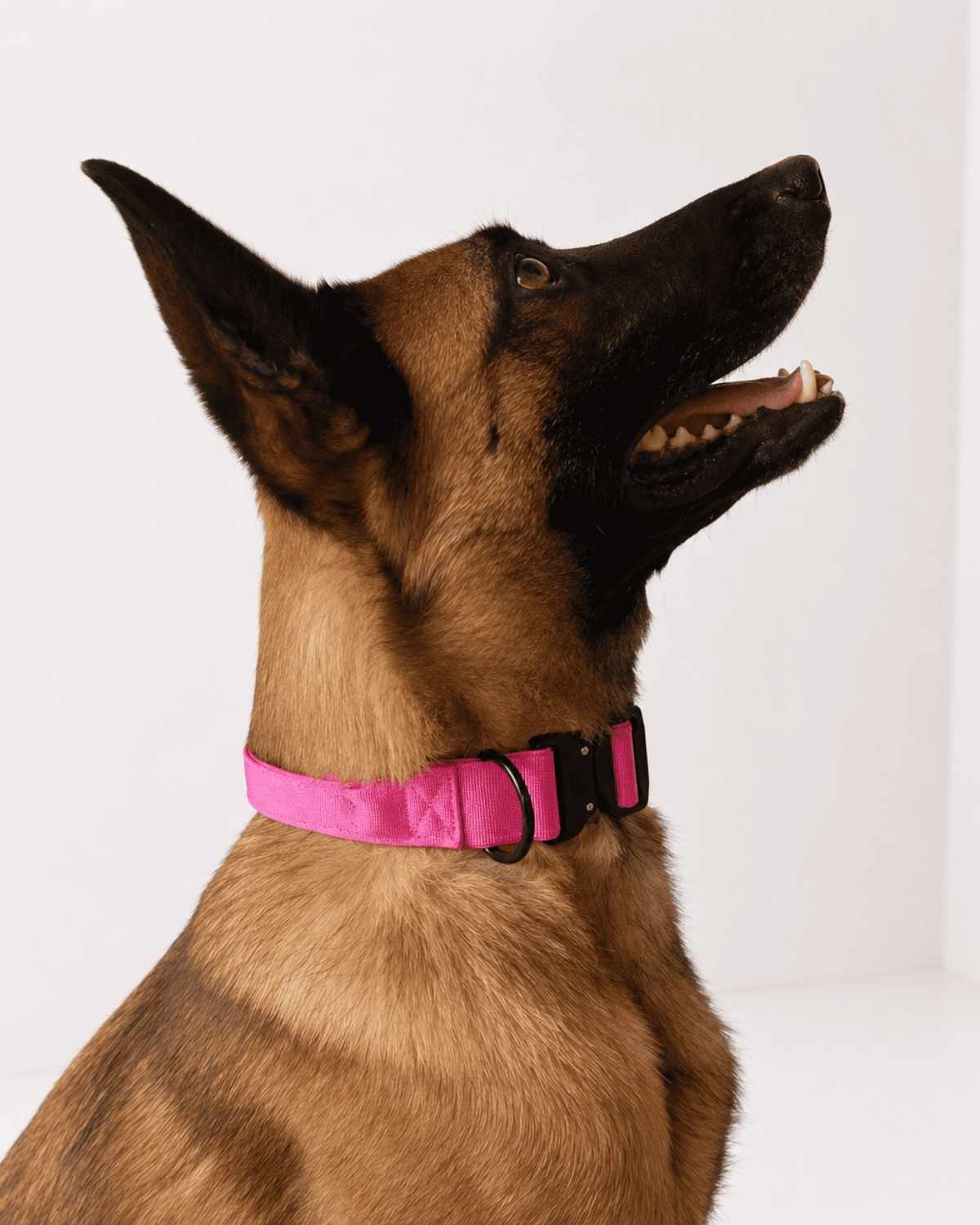 Off Leash Grip Collar