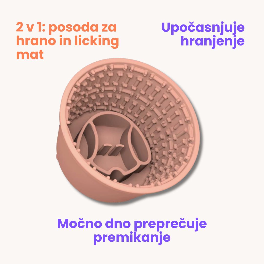 Pasja posoda Cup maze 2 v 1