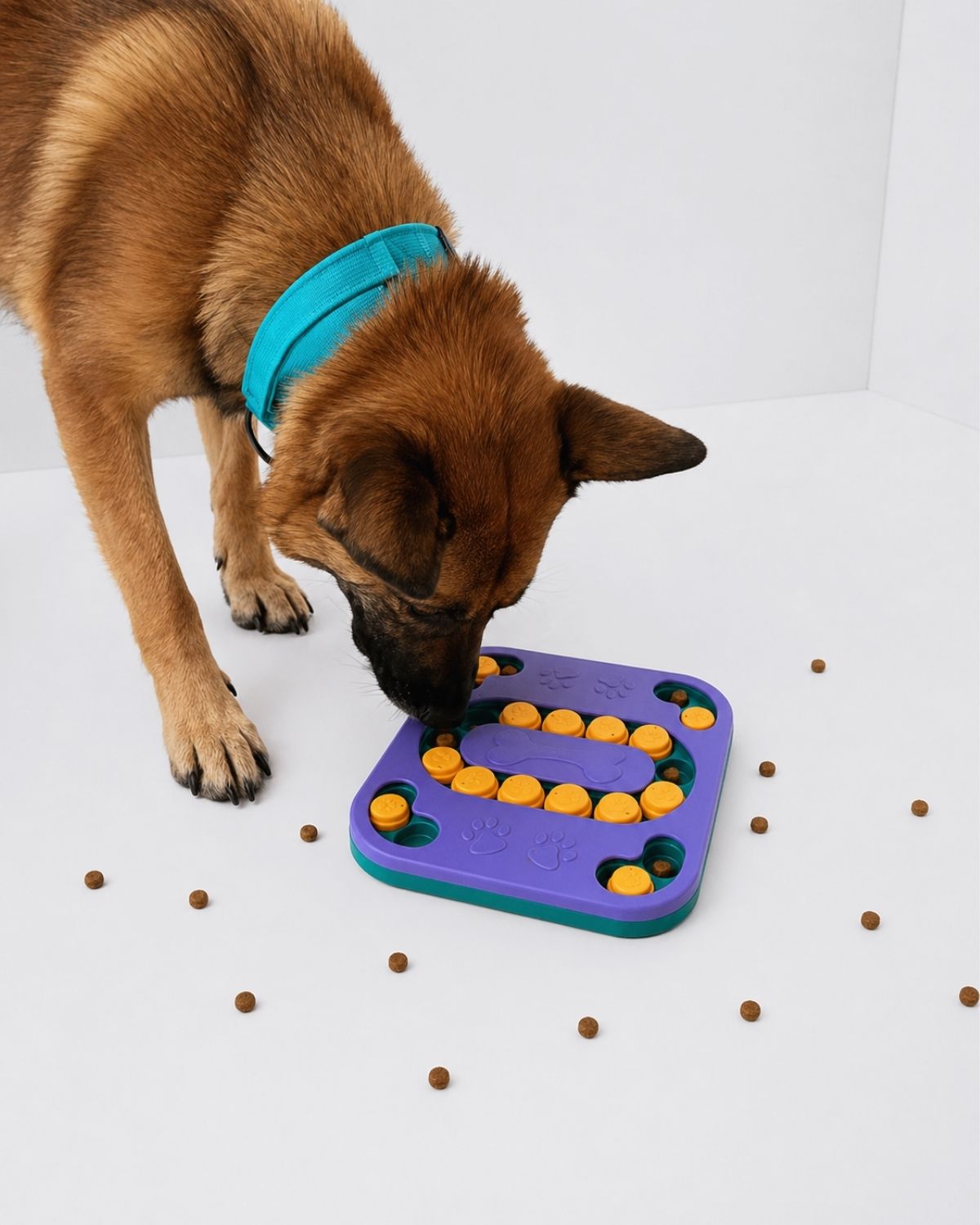 Off Leash Think & Treat