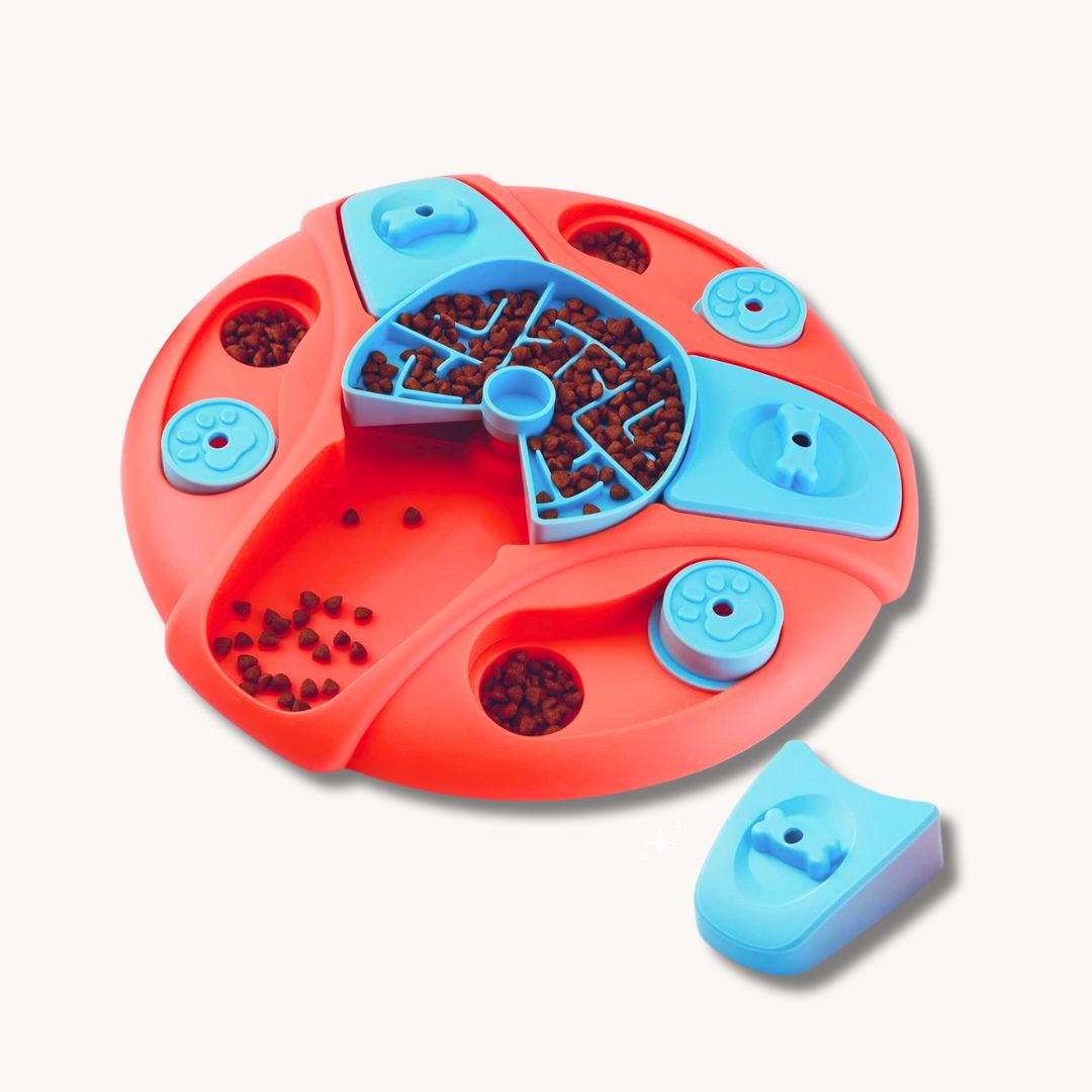 Interaktivna pasja igrača Sniff & Spin