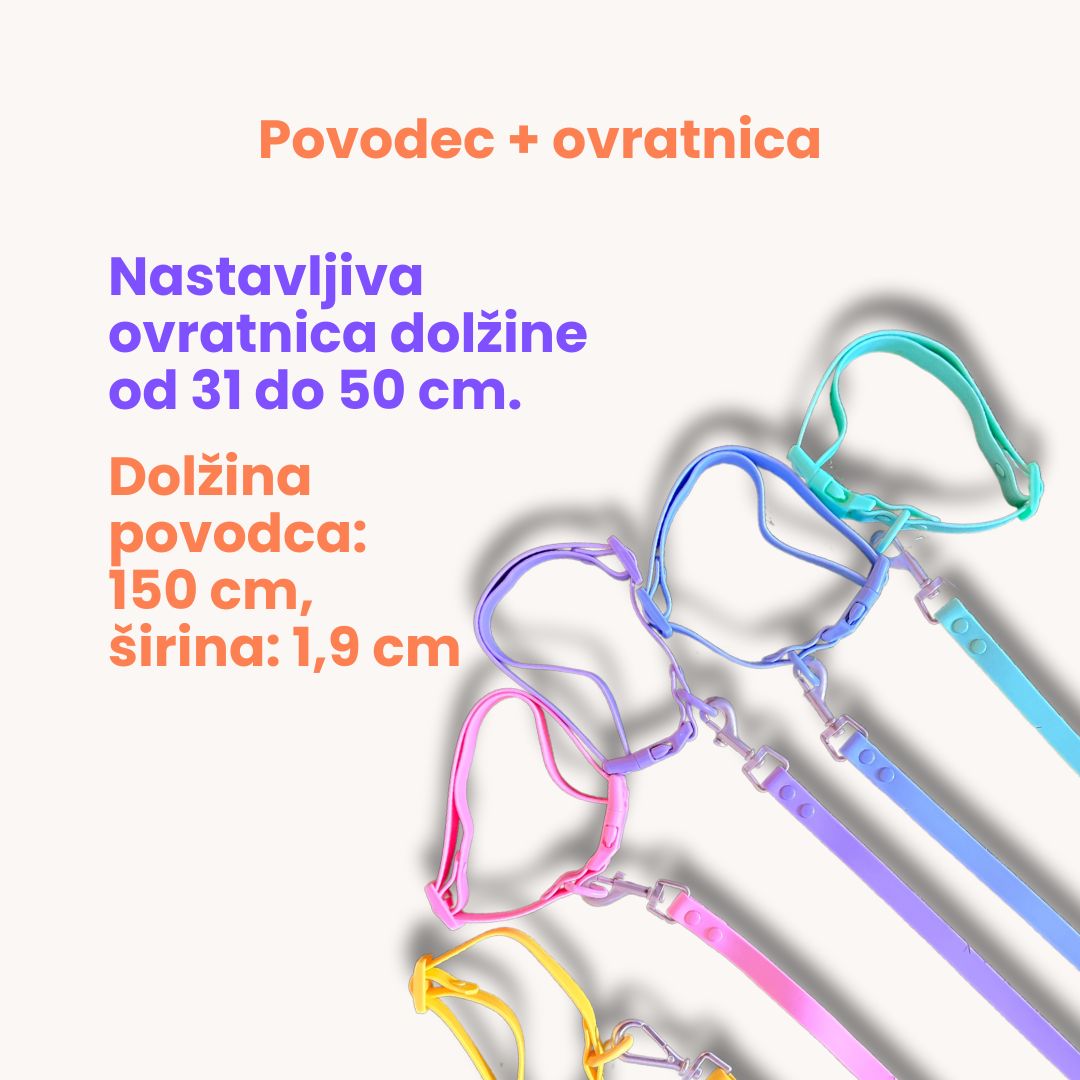 Rain Paw vodoodporen komplet - povodec in ovratnica
