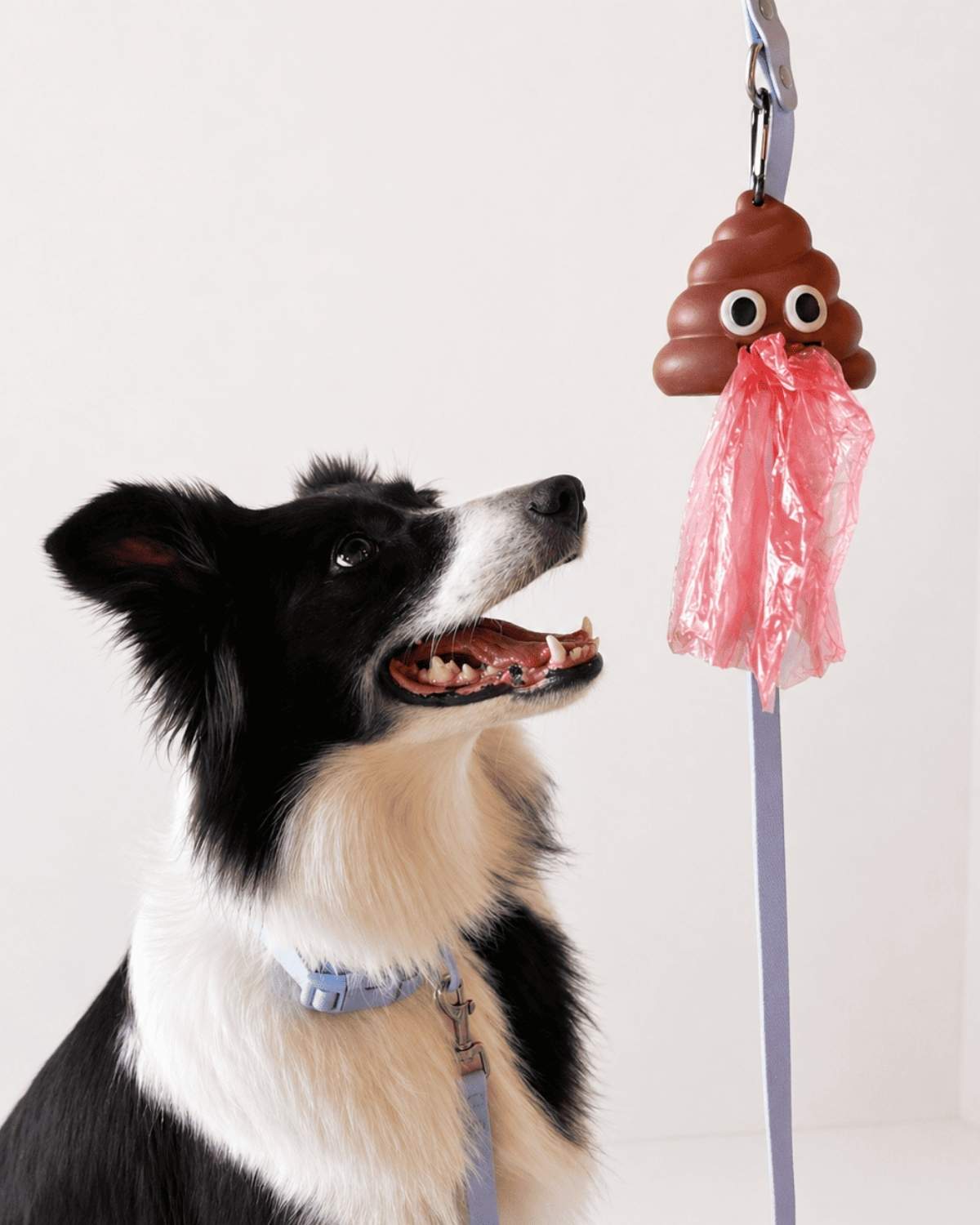Poop Buddy