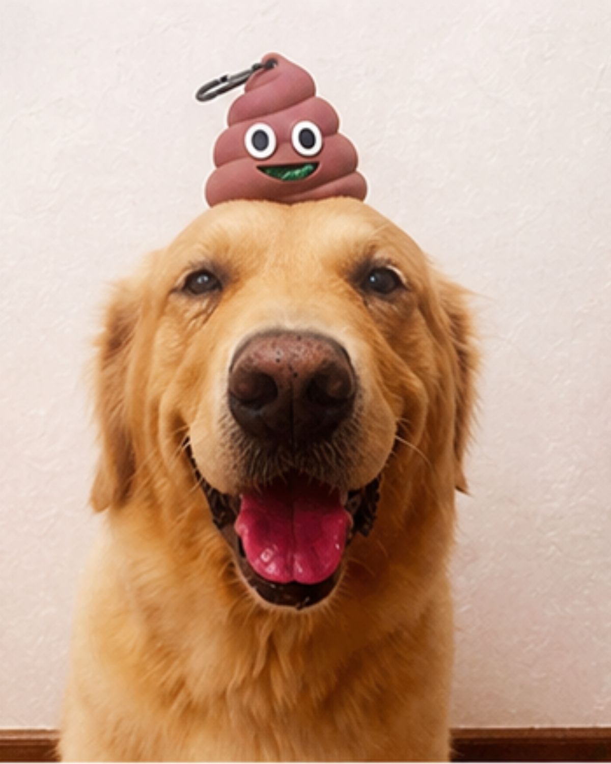 Poop Buddy