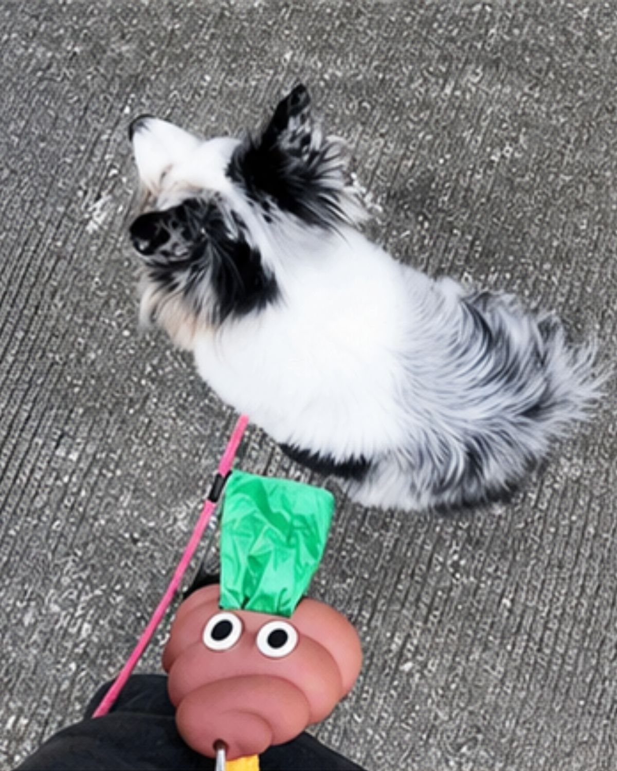 Poop Buddy