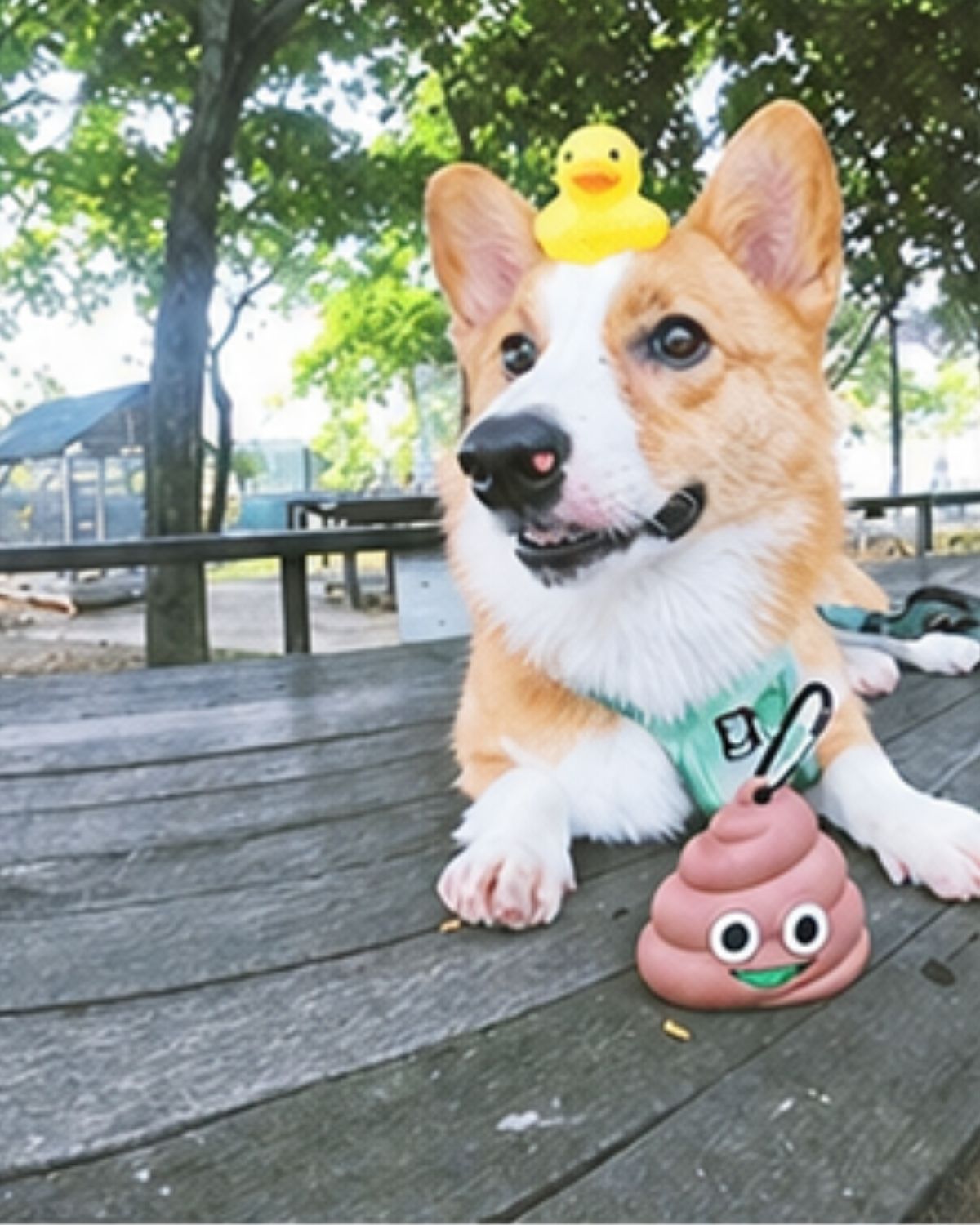 Poop Buddy