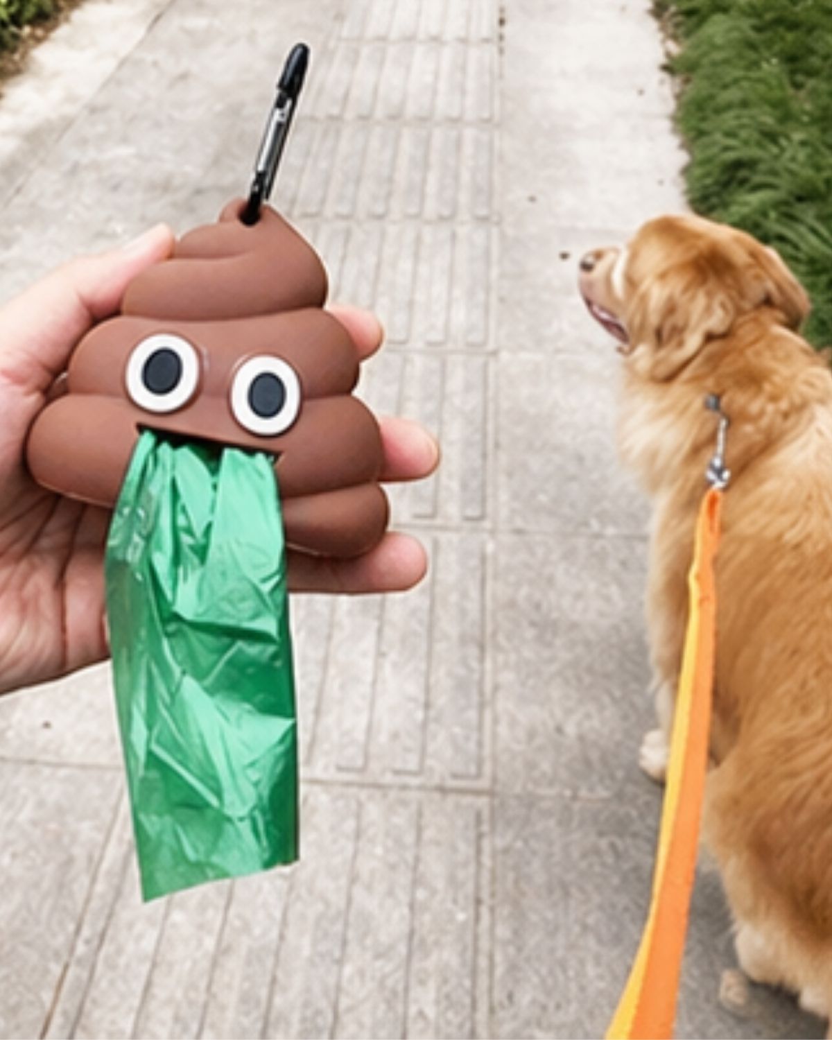 Poop Buddy