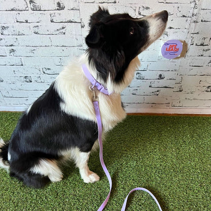 Rain Paw vodoodporen povodec