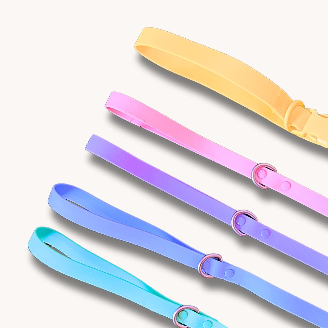 Rain Paw vodoodporen povodec