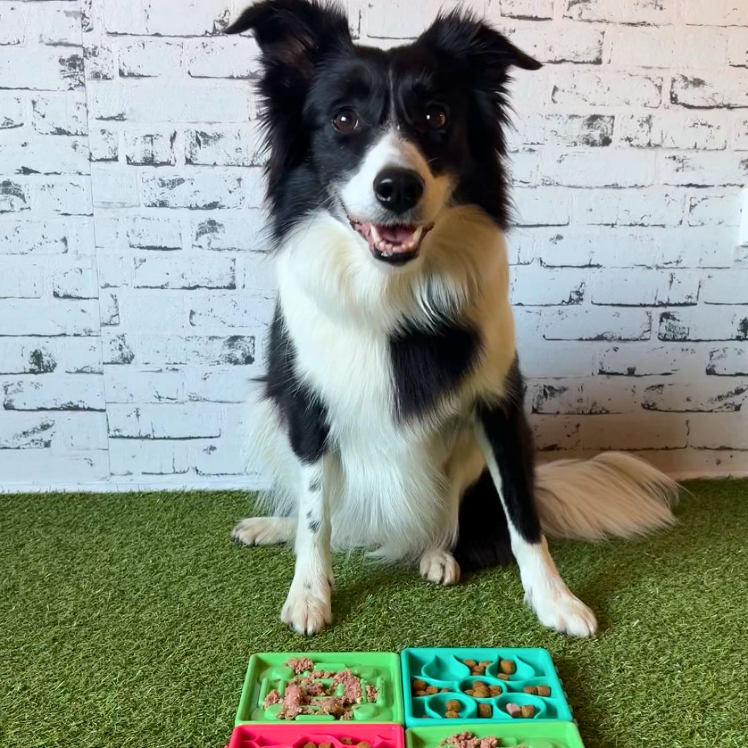 Puzzle lick mat - posoda za počasno hranjenje