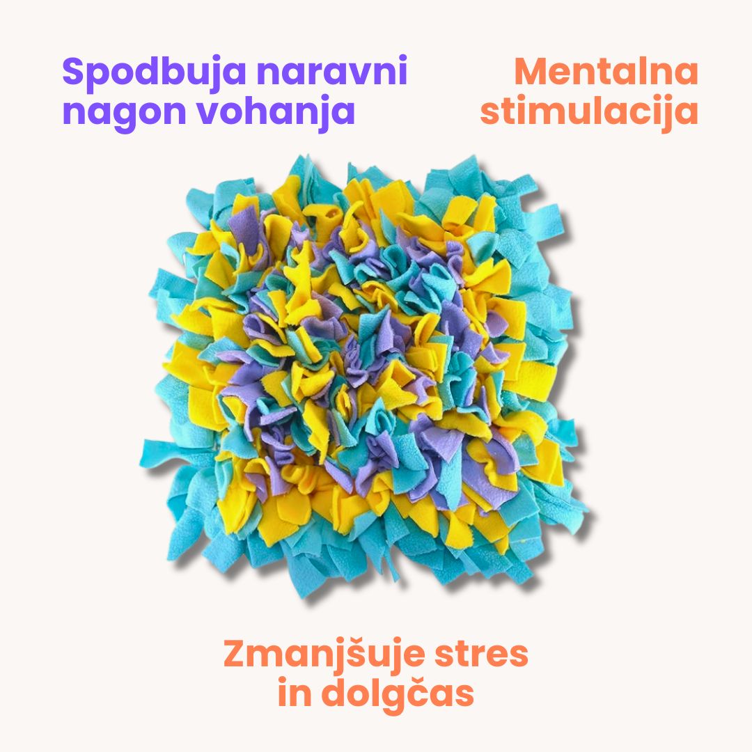 Pasja šnofka Cofi