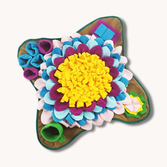 Šnofka flower