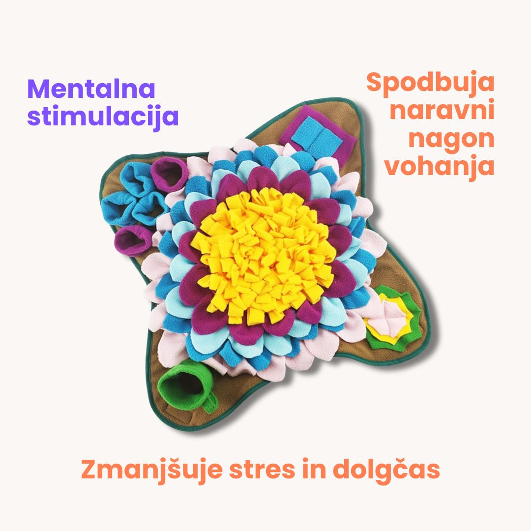 Šnofka flower