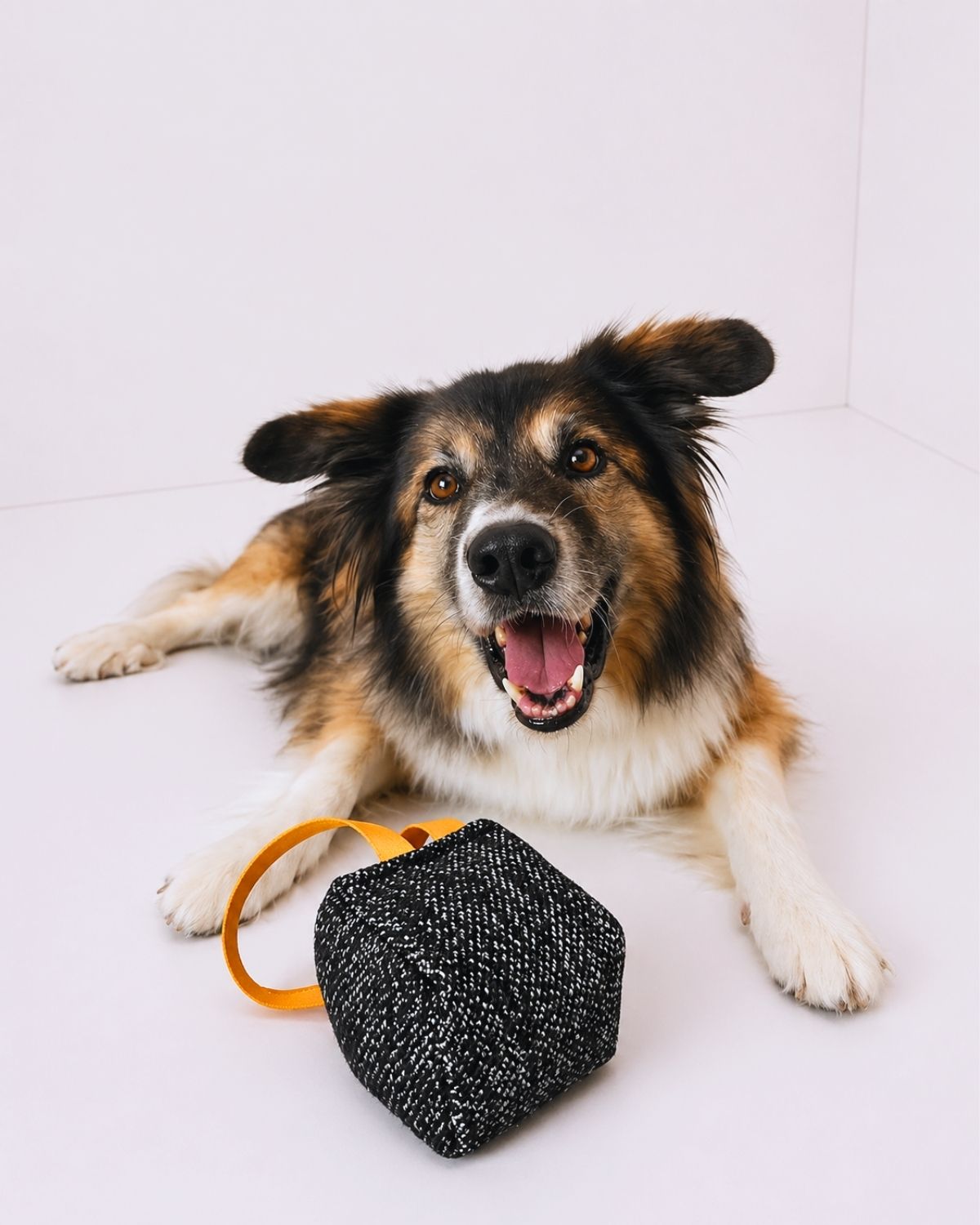 Off Leash Tug Block