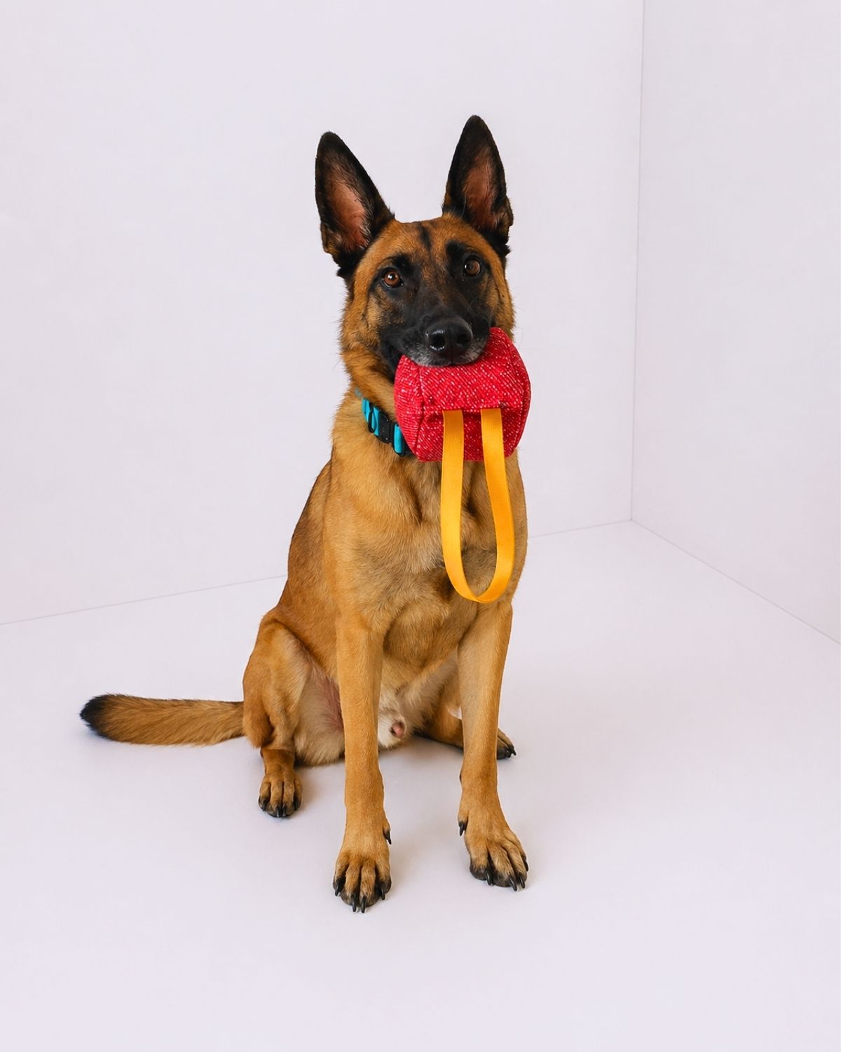 Off Leash Tug Block
