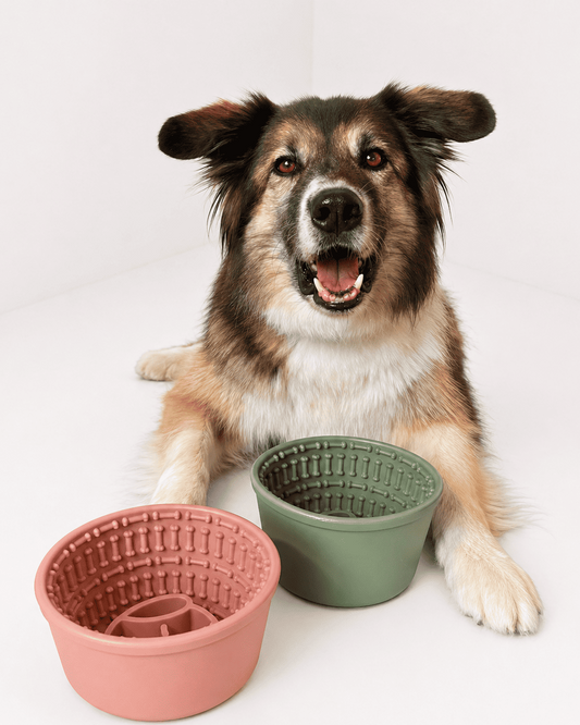 Off Leash Cup Maze 2v1