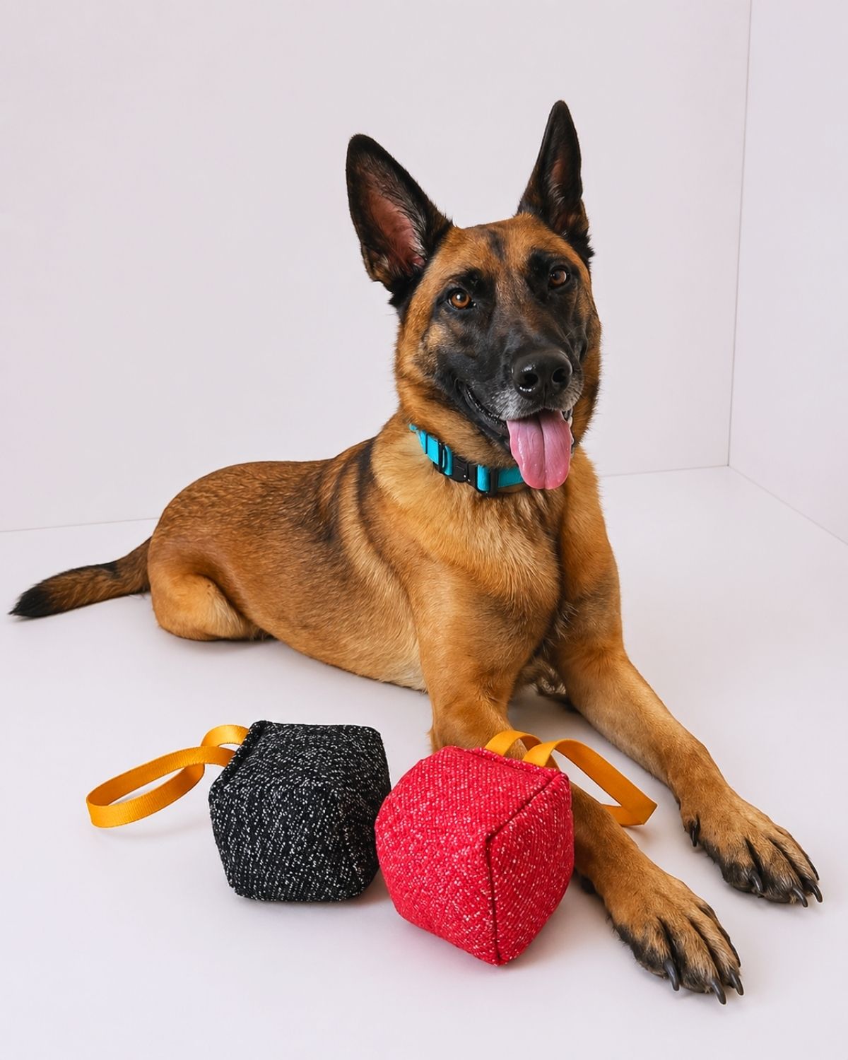 Off Leash Tug Block