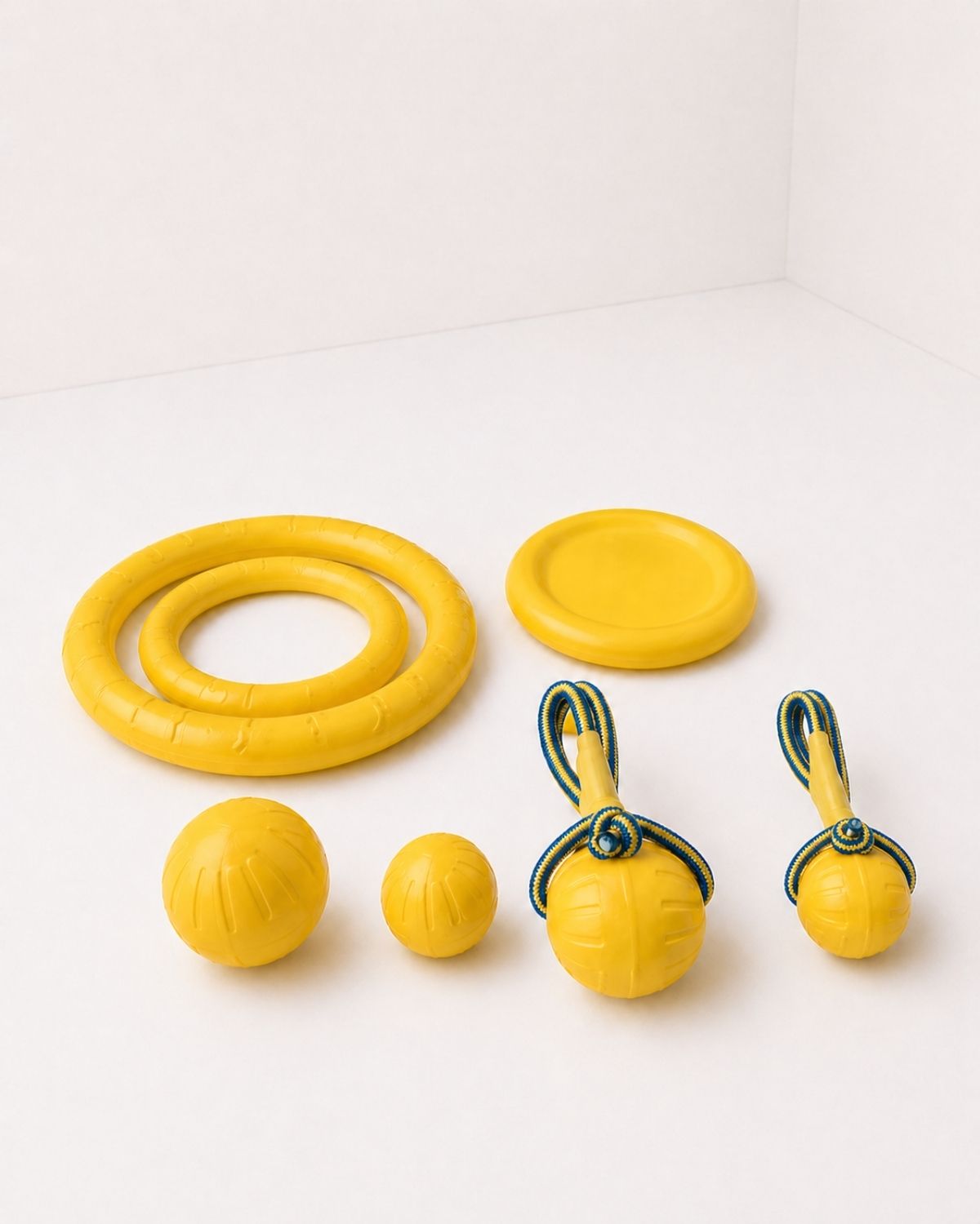 Off Leash Play Kit