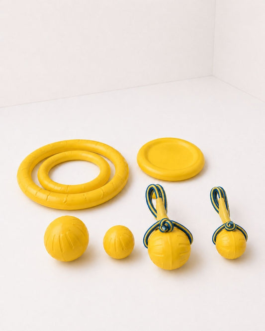 Off Leash Play Kit