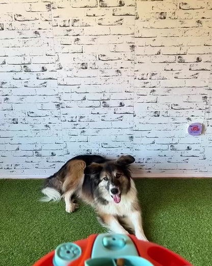 Interaktivna pasja igrača Sniff & Spin