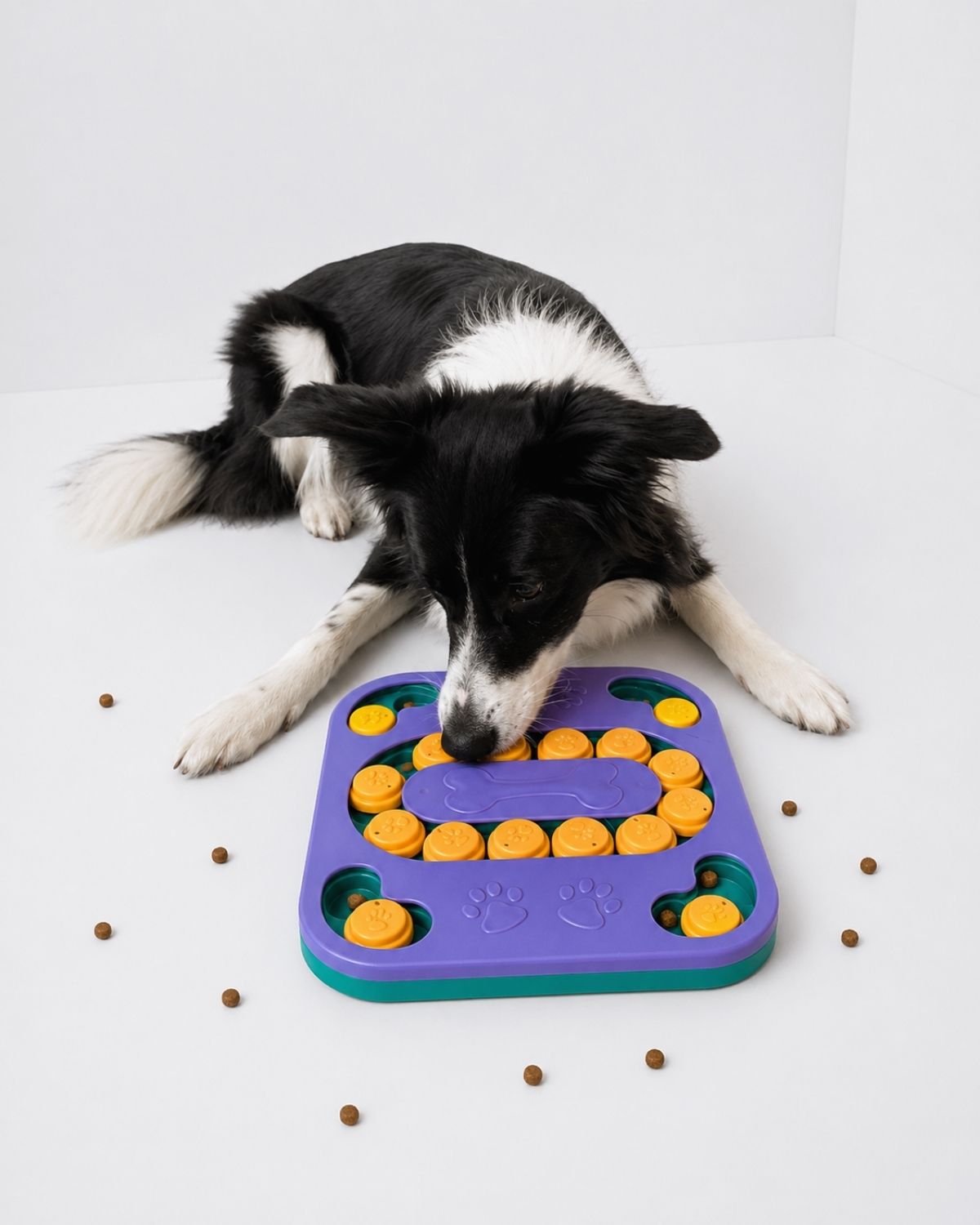 Off Leash Think & Treat